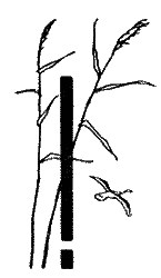 Природа донского края - i_068.png