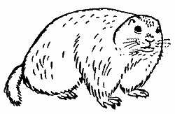 Природа донского края - i_069.png