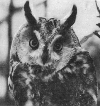 Природа донского края - i_085.jpg