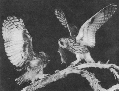 Природа донского края - i_089.jpg