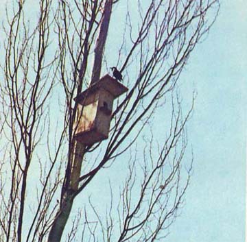 Природа донского края - i_093.jpg