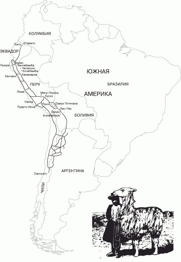 Вкус листьев коки - _01.jpg