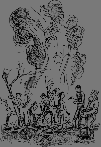 Тайна старого Радуля - any2fbimgloader5.png