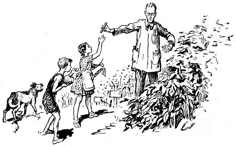 Подземное путешествие Алеши Перца - pic_5.jpg