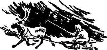 Поющие камни - img_17.jpg