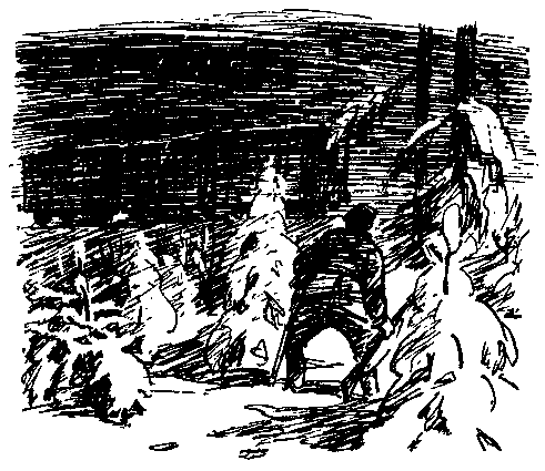 О смелых и отважных. Повести - pic_17.png