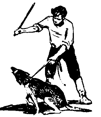 Вы и Ваш друг Рэкс - _82.png