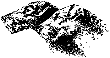 Любитель-собаковод - i_003.png