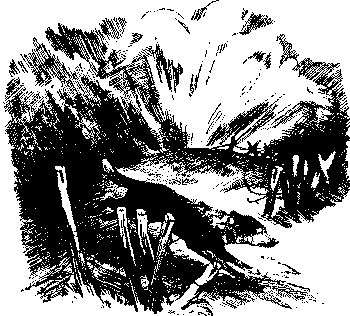 Любитель-собаковод - i_007.png