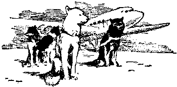 Любитель-собаковод - i_008.png