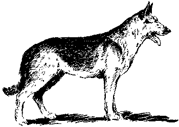 Любитель-собаковод - i_010.png