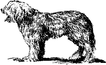 Любитель-собаковод - i_012.png