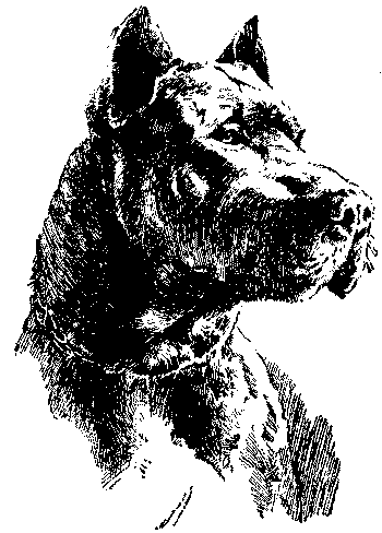 Любитель-собаковод - i_015.png