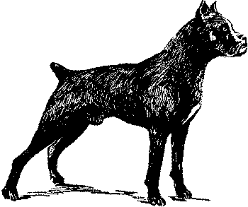 Любитель-собаковод - i_017.png