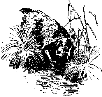 Любитель-собаковод - i_019.png