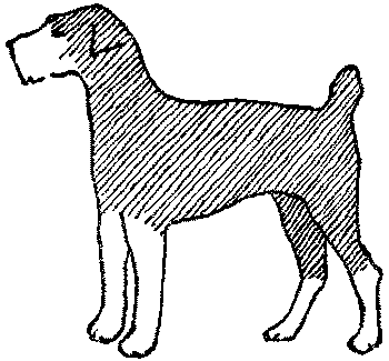 Любитель-собаковод - i_022.png