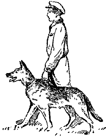 Любитель-собаковод - i_025.png