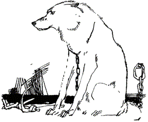 Нигер. История жизни одной собаки - doc2fb_image_03000005.png