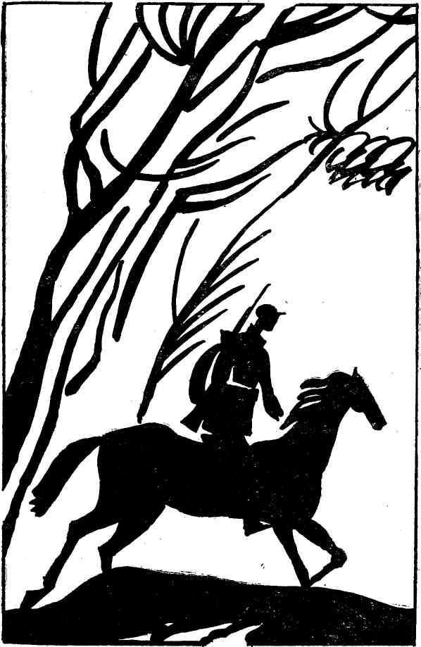 Ночная радуга - i_002.jpg