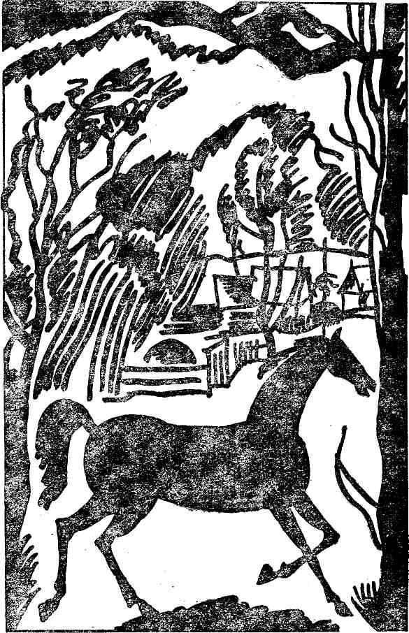 Ночная радуга - i_007.jpg