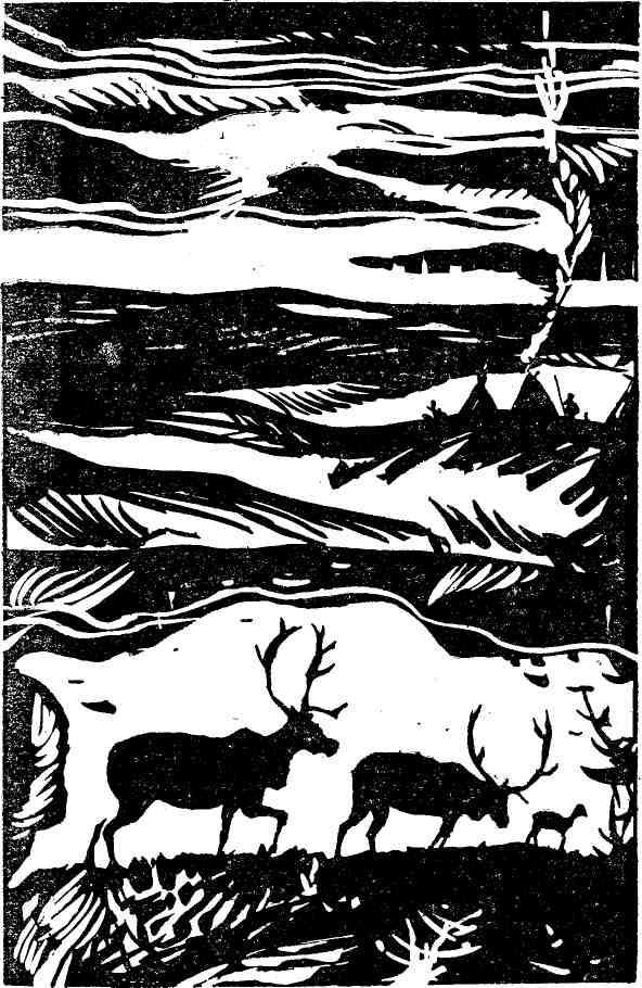 Ночная радуга - i_008.jpg