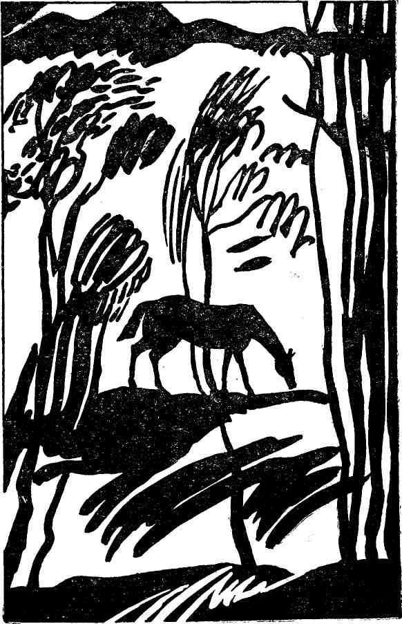 Ночная радуга - i_009.jpg