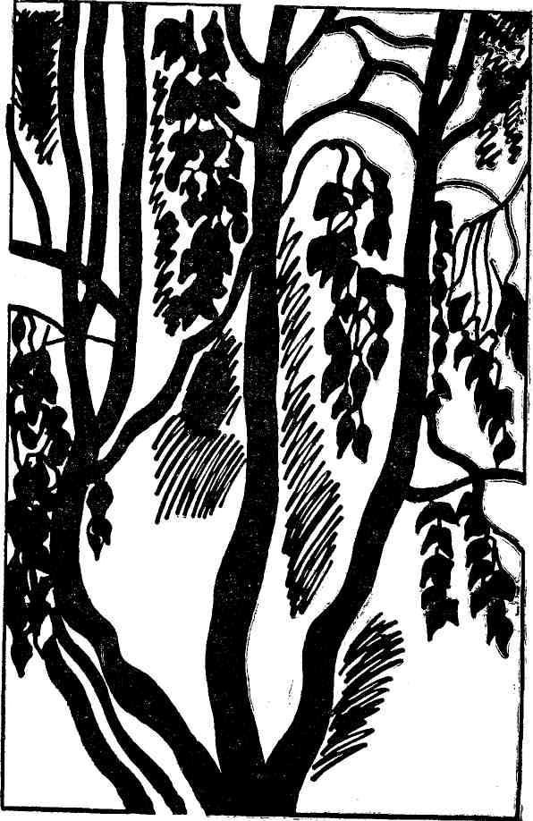 Ночная радуга - i_010.jpg