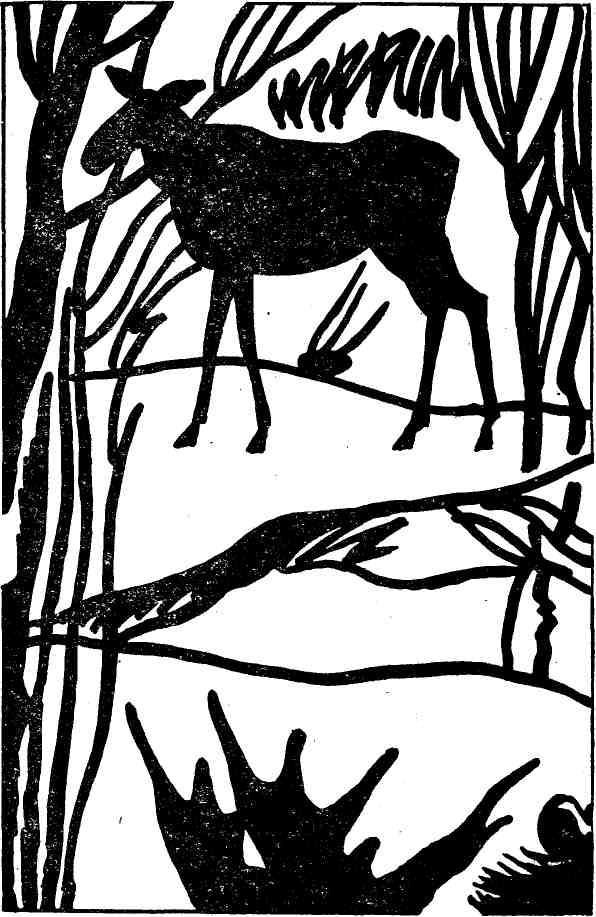 Ночная радуга - i_017.jpg