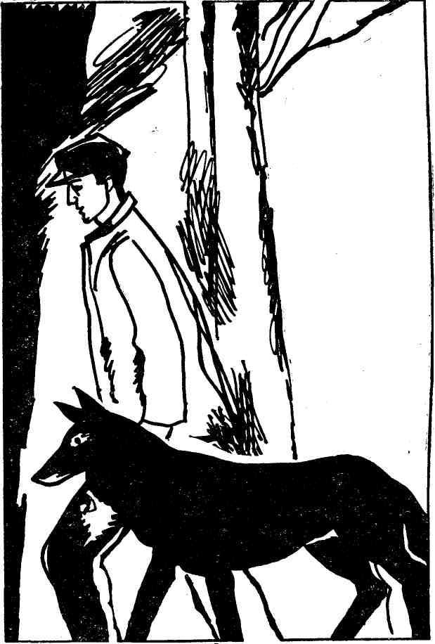 Ночная радуга - i_018.jpg