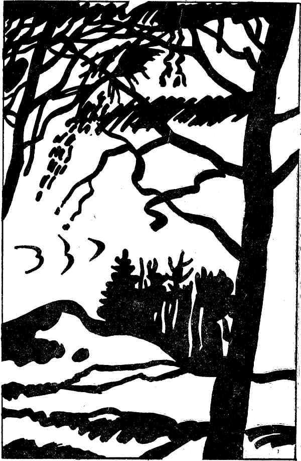 Ночная радуга - i_019.jpg