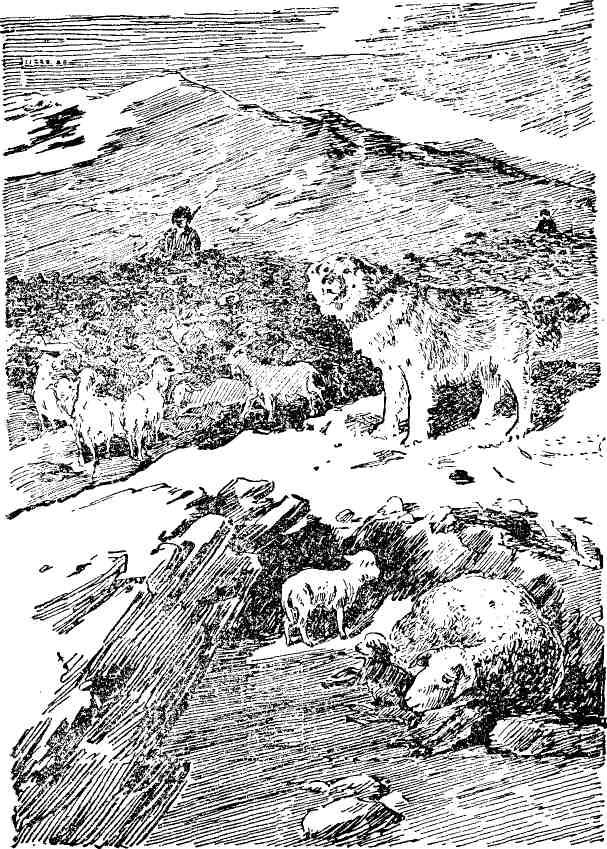 Твои верные друзья - img_5.jpeg