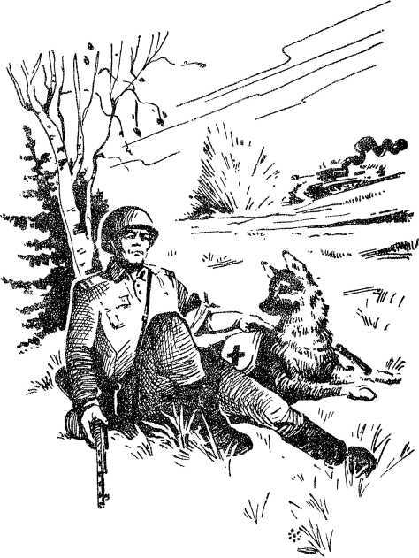 Твой друг<br />(Сборник) - i_002.jpg