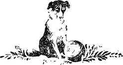 Твой друг<br />(Сборник) - i_013.jpg