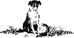 Твой друг<br />(Сборник) - i_014.jpg