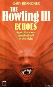 Эхо (ЛП) - автор Бранднер Гарри 