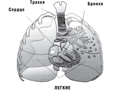 Вы не больны, у вас жажда - i_001.png