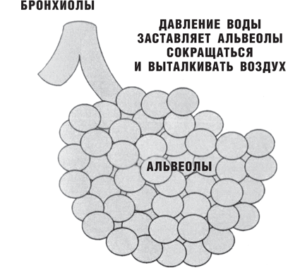 Вы не больны, у вас жажда - i_003.png