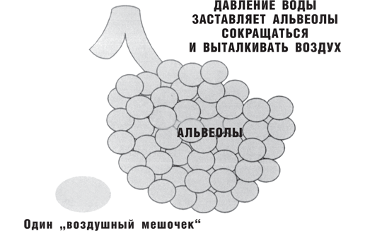 Вы не больны, у вас жажда - i_006.png