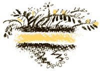 Король-Рысь - i_011.jpg