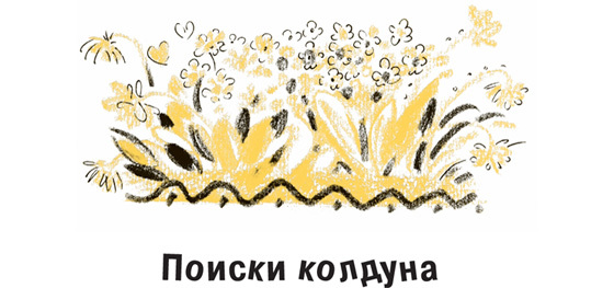 Король-Рысь - i_012.jpg