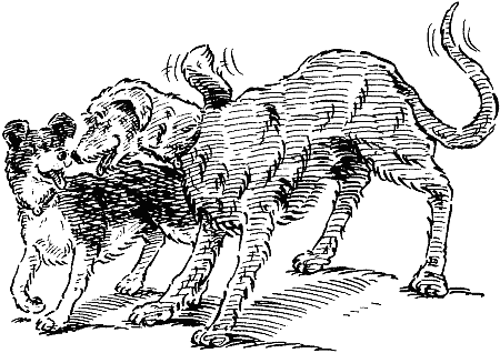 Звездные лапы - i_002.png