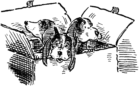 Похищение века - i_014.png