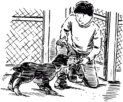 Собачье счастье - i_010.png