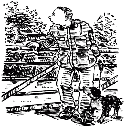 Собачье счастье - i_012.png