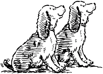 Собачье счастье - i_016.png