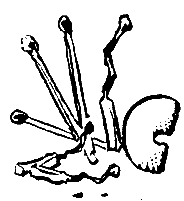 Вокруг капусты - i_010.png