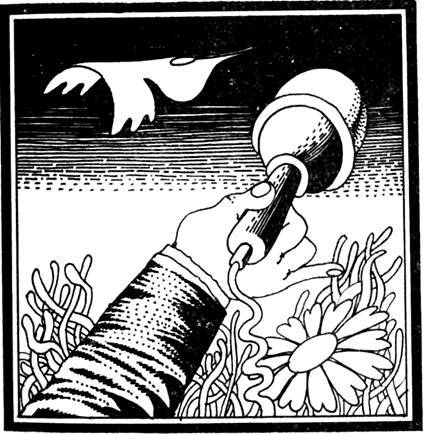 Киным-кино - pic_1.jpg