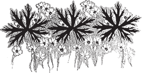 Я забыть тебя, наверно, не смогу - i_007.png