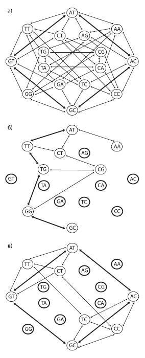 Эволюция человека том 2: Обезьяны нейроны и душа - i_007.jpg