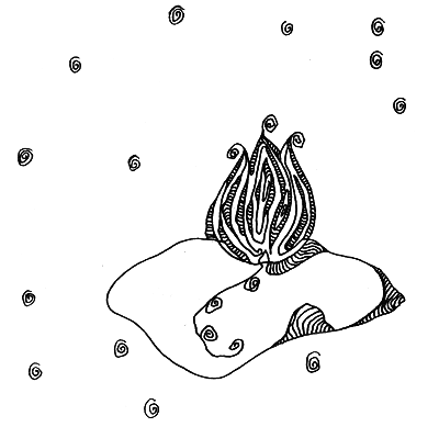 Кувшинка — дочь Водяного - i_001.png